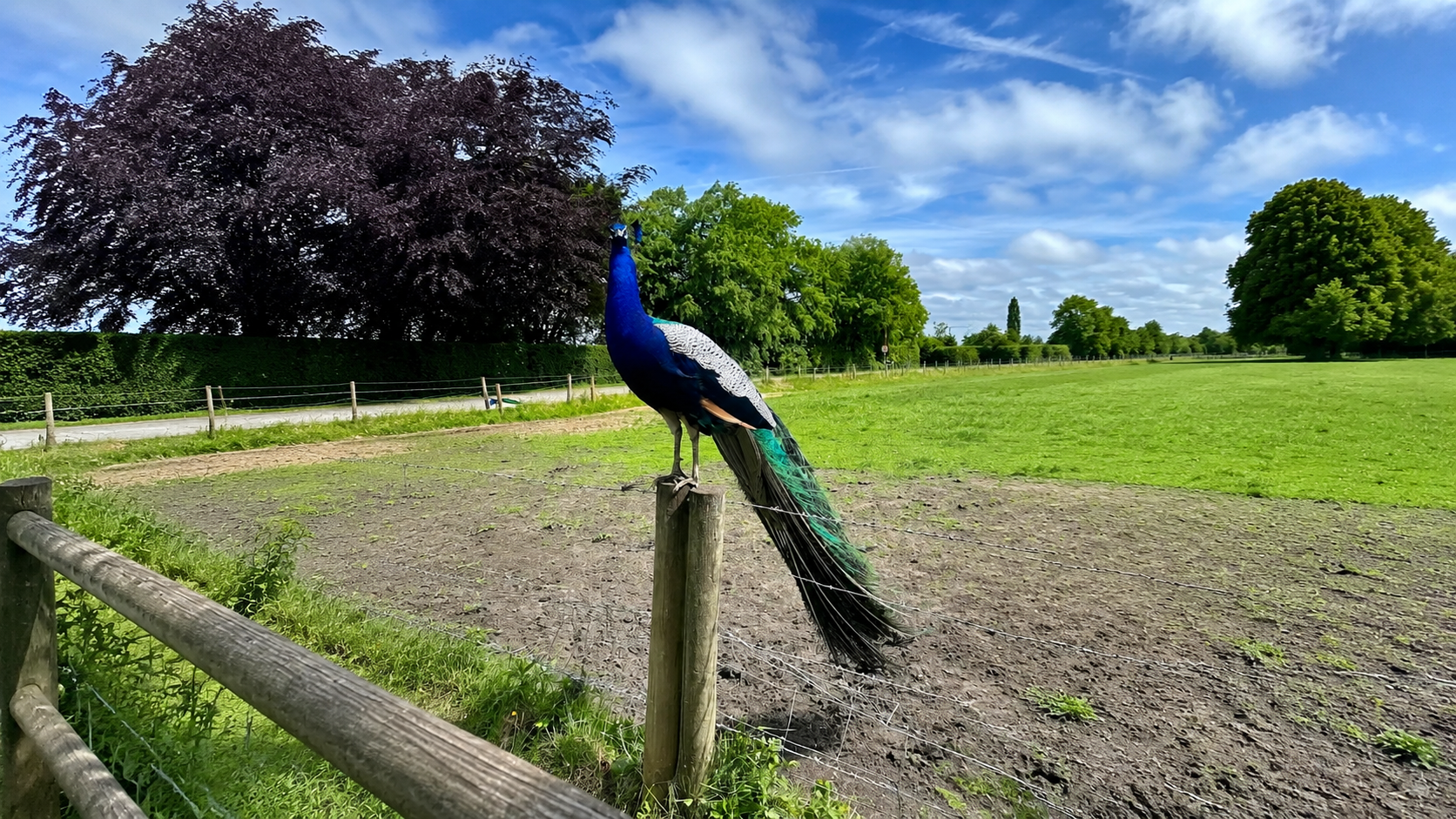 Welcome to Lydiate Hall Farm Shop